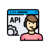 API Developer